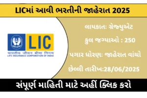 LIC HFL